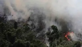 Arde la Amazonia sin control, con miles de incendios activos