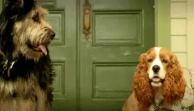 De la calle a la fama: Así encontraron a 'Golfo' de La Dama y el Vagabundo