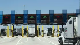 Prevén trabas para el tomate