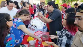 Buscan  erradicar el mosco