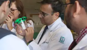 Capacitan a personal para atender picaduras de insectos