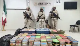 Incauta Ejército 569 kilos de “cristal”