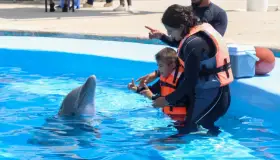 Aumentarán terapias asistidas