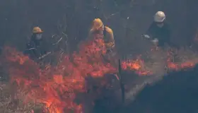 Envía Francia a Bolivia ayuda contra incendios en la Amazonia