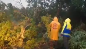 Continúa Alerta Roja por 'Lorena' en Jalisco y Colima