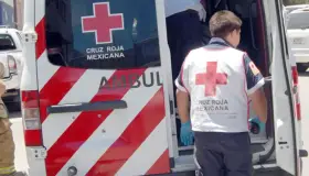 Se lesiona al provocar daños