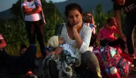 Visitará ONU refugiados en México