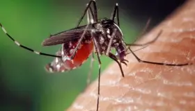 Aumentan los decesos en México por casos de dengue