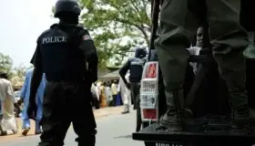 Descubren &#039;fábrica de bebés&#039; y rescatan a 19 embarazadas