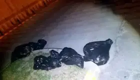 Contabilizan 4 embolsados en Jalisco