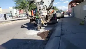 Realizan campaña de bacheo