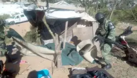 Desmantela Ejército campamento clandestino