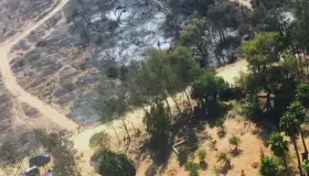 Controlan incendio en Tecate, pero resta el de Ensenada