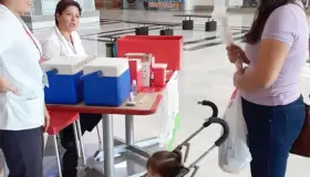 Exhortan a vacunar a los niños