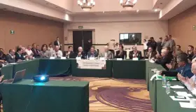 Sacrificarán ganado de Arizona en Sonora