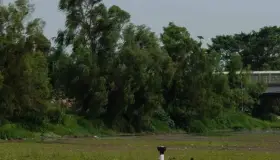 Ajustan magnitud de sismo en Chiapas