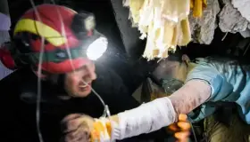 Suman ya 40 muertos y 650 heridos tras sismo en Albania