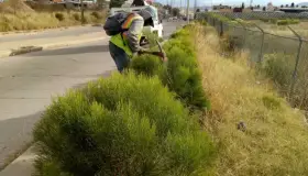 Imagen Urbana mantienen limpias las plazas