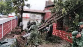 Causan lluvias graves daños