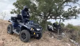 Colaboran autoridades de ambos países