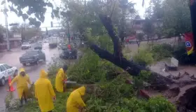Atienden llamados de la comunidad
