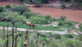 Debe Grupo México construir hospital en Sonora