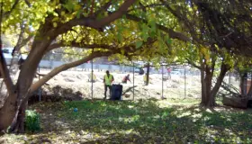 Llevan campaña de limpieza a El Cíbuta