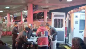 Grave niño atacado por perros