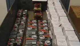 Decomisan cartuchos útiles