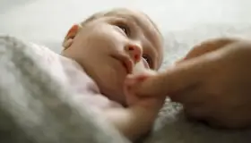 Recibe Arizona malas calificaciones