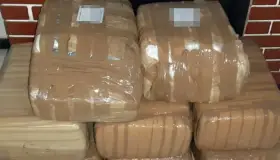 Incauta la PESP marihuana