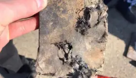 Irán admite el derribo "no intencionado" del avión ucraniano