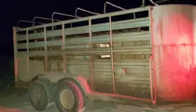 Descubren armas en vehículos abandonados