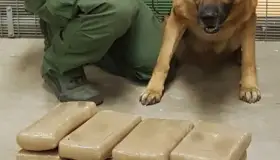 Detenidos con 365 libras de metanfetamina en garita