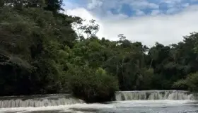 Llaman a proteger Biósfera en México