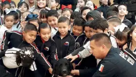 Es trabajo de prevención aliado