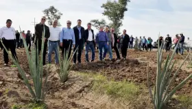 Fortalecen producción de Bacanora