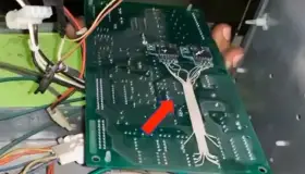 Halla Profeco rastrillo ‘insecto’ en gasolinera 'transa'