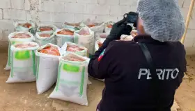 Recuperan 20 sacos de chiltepín robado 