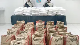 Decomisan cien kilos de metanfetamina