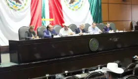 Requiere campo más apoyo