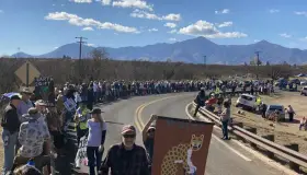 Violentan 43 leyes federales