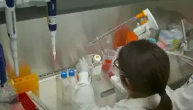 Monitorea Arizona Coronavirus