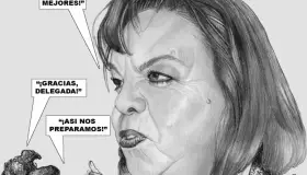 Cartón