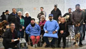 Intensifican campaña de esterilización de mascotas