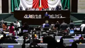 En plena epidemia de coronavirus, diputados aprueban reelegirse