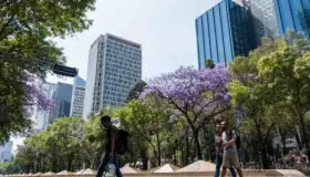 Distanciamiento social es insuficiente ante Covid-19: OMS