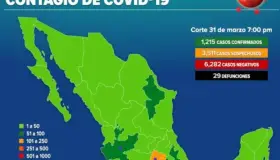 Suman 1215 casos positivos de Covid-19 en México