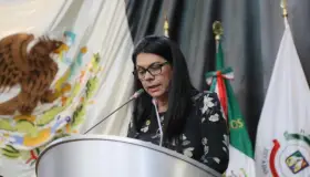 Diputados de Morena piden al Ejecutivo un fondo para los grupos más vulnerables