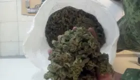 Decomisa Guardia Nacional armas y cartuchos en SLRC